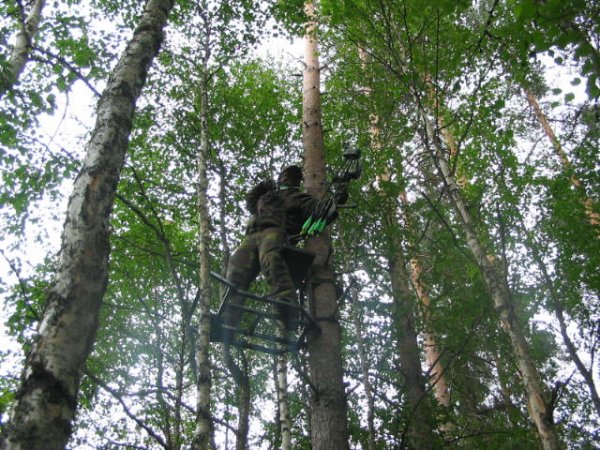 Treestand