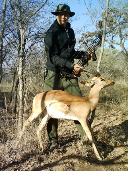 Impala