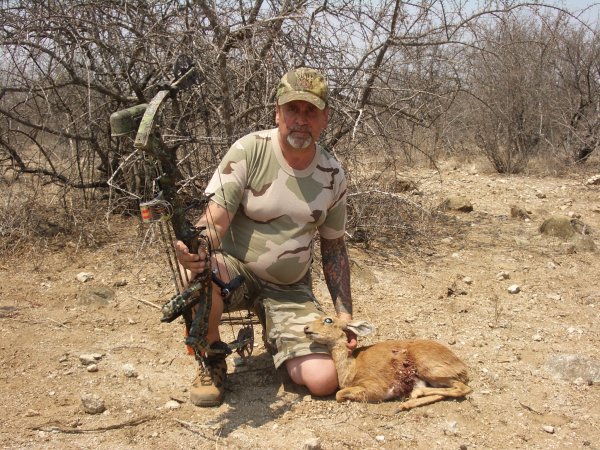 Steenbok