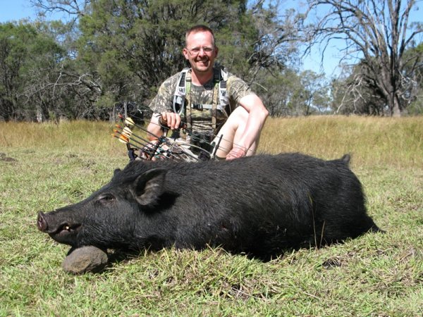 Feral hog