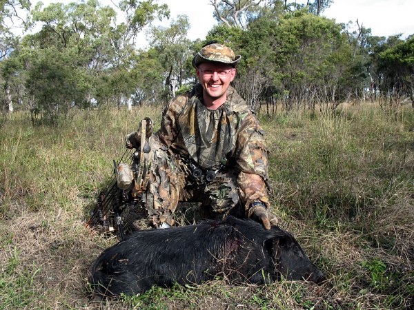 Feral pig